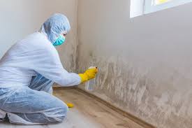 Mold Remediation for Vacation Homes in Selden, NY