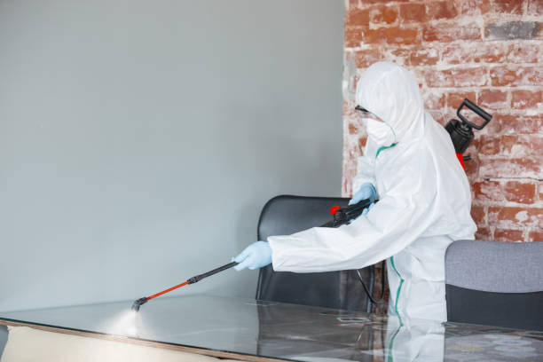 Best Mold Damage Restoration  in Selden, NY