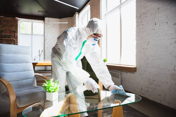 Best Industrial Mold Remediation  in Selden, NY